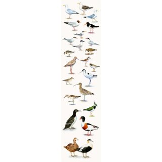 Lesezeichen Küstenvögel 5x20cm, 5 Stück