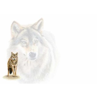 w25110-briefumschlaege-wolf
