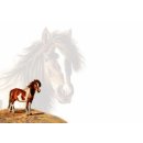 w25128-briefumschlaege-pony