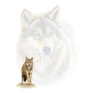 w25010-briefpapierblock-wolf