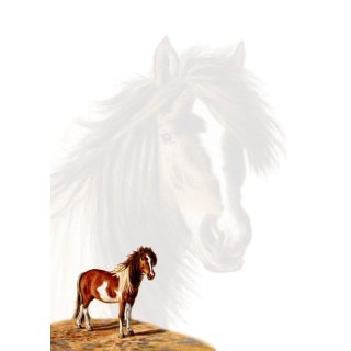 w25028-briefpapierblock-pony