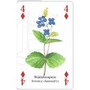 w38035-spielkarten-wildblumen-besipiel2