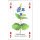 w38035-spielkarten-wildblumen-besipiel2