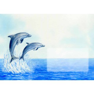 w25144-briefumschlaege-delfine