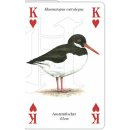 Kartenspiel Meeresvögel, 54 Blatt