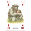 w38047-spielkarten-Tierwelt-Afrikas-beispiel1