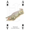 w38047-spielkarten-Tierwelt-Afrikas-beispiel2
