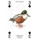 Kartenspiel Wasservögel, 54 Blatt