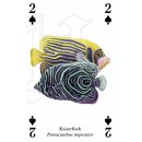 w38050-spielkarten-Meerestiere-beispiel2