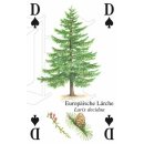 w38051-spielkarten-Bäume-beispiel1