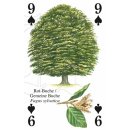 Kartenspiel Bäume, 54 Blatt