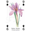 w38053-spielkarten-Kräuter-beispiel2